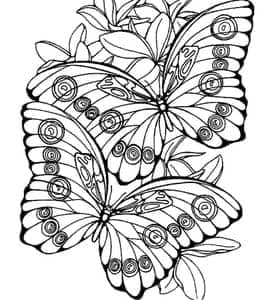 11张蝴蝶翩翩飞舞在花丛中卡通涂色图纸免费下载！