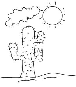 12张寂寞荒凉的壮丽沙漠植物与动物主题卡通儿童涂色简笔画！