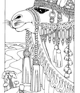 12张沙漠中的骆驼仙人掌曼陀罗成人及儿童卡通涂色图片大全！