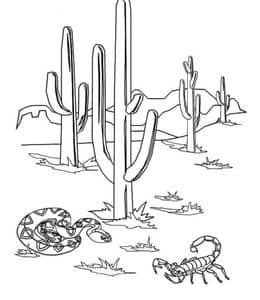 11张非常具有代表性的沙漠植物仙人掌卡通涂色图片！