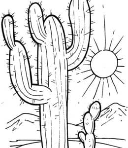 12张沙漠中的植物和动物沙漠蛇和仙人掌卡通涂色图片下载！