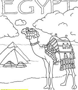 15张不容错过的仙人掌开花沙漠骆驼金字塔风景涂色图片！