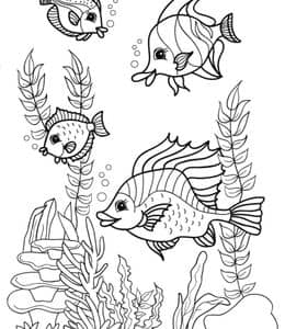 10张小鱼海草泡泡带鱼寄居蟹有趣的海洋生物卡通涂色图片