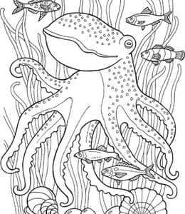 章鱼的有趣事实！10张电鳗三角鱼小金鱼小丑鱼章鱼卡通涂色图片下载！