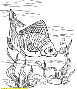 10张神秘的海底世界小丑鱼螃蟹海星水母涂色儿童画下载