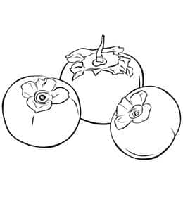 11张菠萝柿子石榴木瓜西红柿孩子们最喜欢的水果涂色简笔画！
