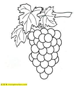 10张葡萄草莓苹果柠檬菠萝桃子水果涂色简笔画！