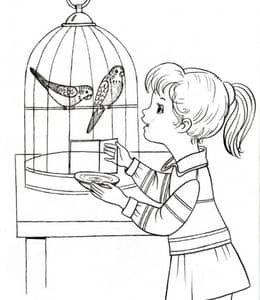 小女孩和鹦鹉？11张笼子里的可爱鹦鹉宠物卡通涂色图片！