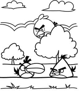 11张《愤怒的小鸟》有趣的角色怒鸟红飞镖黄蓝弟弟卡通涂色图片！