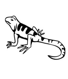 10张仰着头的小蜥蜴冷血爬行动物卡通涂色简笔画免费下载！