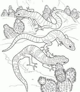 12张独一无二宇宙不同的有趣的蜥蜴变色龙卡通涂色简笔画！