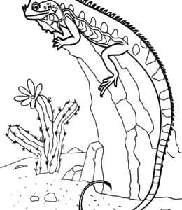 10张拥有惊人的生存能力的沙漠蜥蜴卡通涂色图片免费下载！
