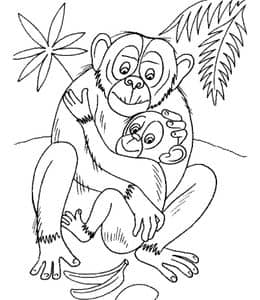 11张小猩猩和小猴子动物园中的明星宝宝卡通涂色图片