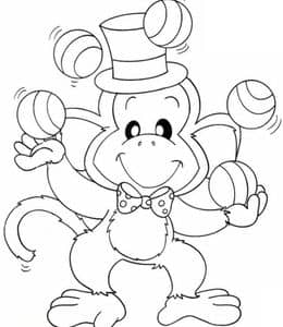 马戏团中的宝贝！12张小猴子杂技表演涂色图片免费下载