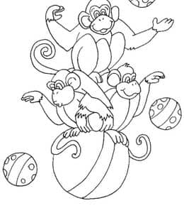马戏团中的猴子表演！11张顽皮精彩的猴子杂耍卡通涂色图片