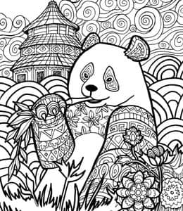 11张动物园大明星宝宝大熊猫涂色图片免费下载！