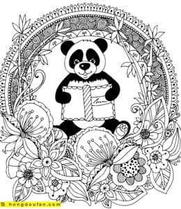 10张憨态可掬的大熊猫宝宝卡通涂色简笔画免费下载！