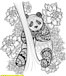10张超级可爱的熊猫花花成人涂色图片免费下载！