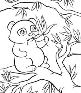 12张人人都喜爱的可爱大熊猫动物涂色简笔画免费下载！