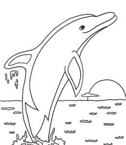 美丽而富有智慧的海洋生物！12张海洋精灵海豚动物涂色图片