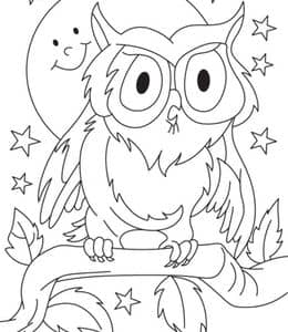 跟着老师画鸟类！11张猫头鹰儿童画涂色图纸免费下载