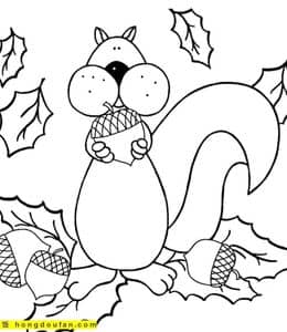 喜欢吃坚果的小动物！11张卡通小松鼠涂色简笔画免费下载！