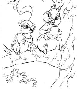 松鼠的有趣事实！11张在林间跳跃的可爱小松鼠森林涂色简笔画！