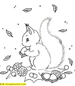 森林中跳跃的小精灵！13张精灵古怪的松鼠涂色简笔画免费下载！