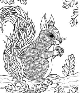 生动可爱的11张害羞的小松鼠卡通涂色简笔画免费下载