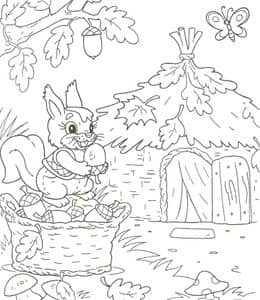 童话故事中的小松鼠！7张毛茸茸的爱吃榛果的松鼠涂色简笔画！
