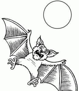 10张飞行中张开翅膀的可爱小蝙蝠小学生卡通涂色简笔画！