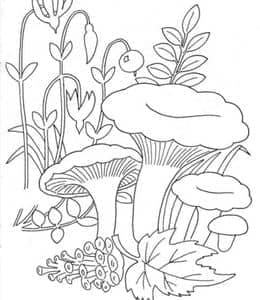 雨后的蘑菇涂色图片！12张小小蘑菇涂色简笔画！