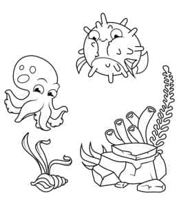 刺豚和小章鱼！12张海底生物小鱼海豚海星螃蟹卡通涂色图片！