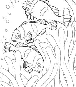 珊瑚丛中的小丑鱼！13张海洋世界主题涂色儿童画免费下载！