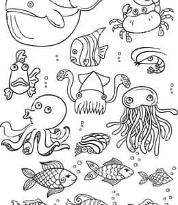 认识海洋世界中的不同生物！11张海洋动物主题涂色涂色图片！