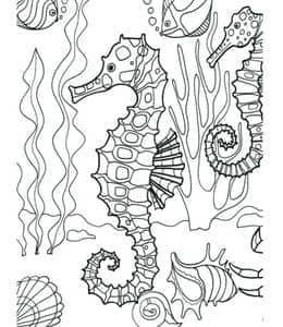10张有趣的海马乌龟章鱼海星水母小鱼卡通涂色儿童画！