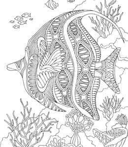 神秘的海底宝藏！12张小丑鱼三角鱼章鱼鲨鱼海豚卡通涂色图片大全
