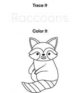 Trace and color Raccoons！13张带有笔顺的英文大小写字母描红练习题