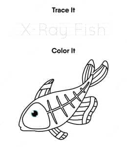 Trace and color X-ray fish. 13张有趣的工程车以及更多字母描红作业题！