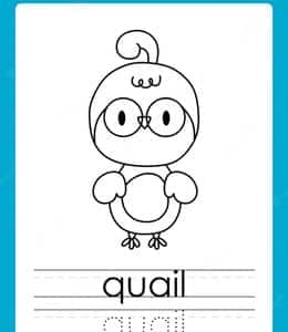 Q is for quail.10张兔子山羊独角兽有趣的动物单词主题描红练习题！