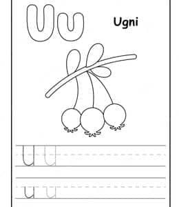 U is for Ugni！9张杨梅草莓葡萄更多水果涂色英文大小写字母描红练习题！