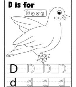 D is for dove！13张牦牛鸽子火烈鸟斑马大嘴鸟英文单词描红作业免费下载！