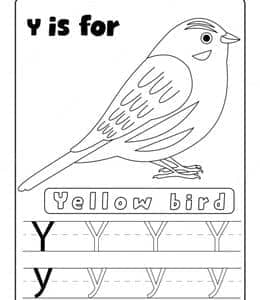 Y is for yellow bird！10张有趣的简单英文字母描红练习题！