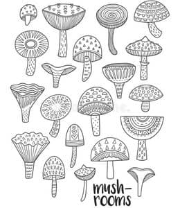 认知不同种类的蘑菇！12张简单的蘑菇房子卡通涂色儿童简笔画