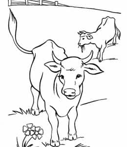15张农场上有只粉红色小鼻头的可爱小奶牛卡通涂色简笔画