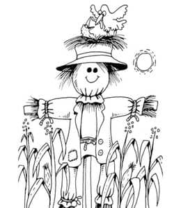14张静静地守护着田野和庄稼的傻乎乎的稻草人和小鸟卡通涂色儿童画！