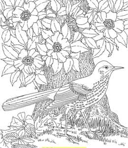 探索春天的奇妙世界！12张带有春季小鸟花朵卡通涂色风景画！