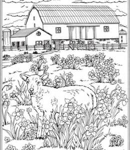 13张春天生机勃勃的农场主题涂色图片！蝴蝶小羊母鸡和小马驹