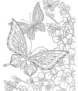 10张带有蝴蝶花朵蜂鸟精灵春天主题风景成人涂色图片！