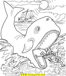 大型的海洋哺乳动物！10张大鲸鱼卡通涂色图片下载！